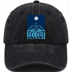 Ice Out Minnesota Loon Washed Cotton Baseball Cap MN State Protest TS11 Print Your Wear