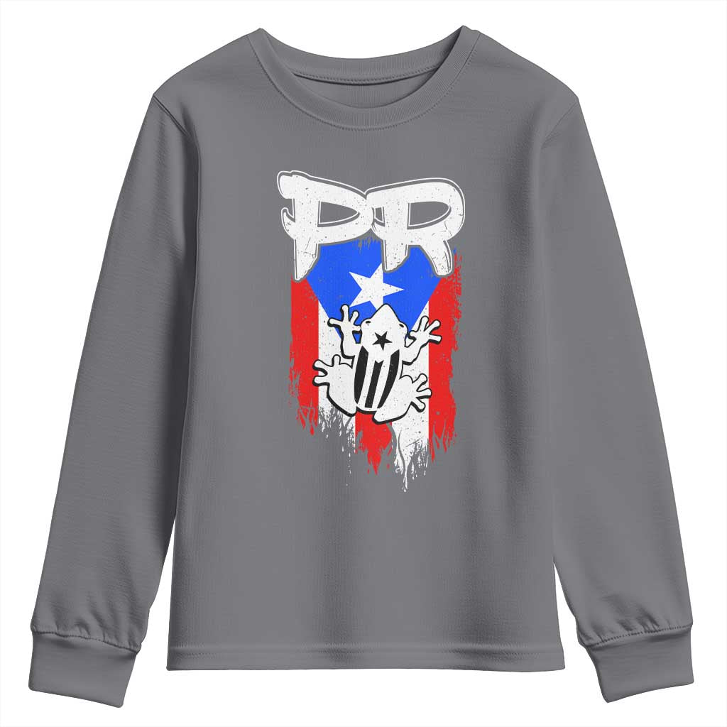 Puerto Rico Flag Hispanic Heritage Month Boricua Coqui Frog Youth Sweatshirt TS11 Charcoal Print Your Wear