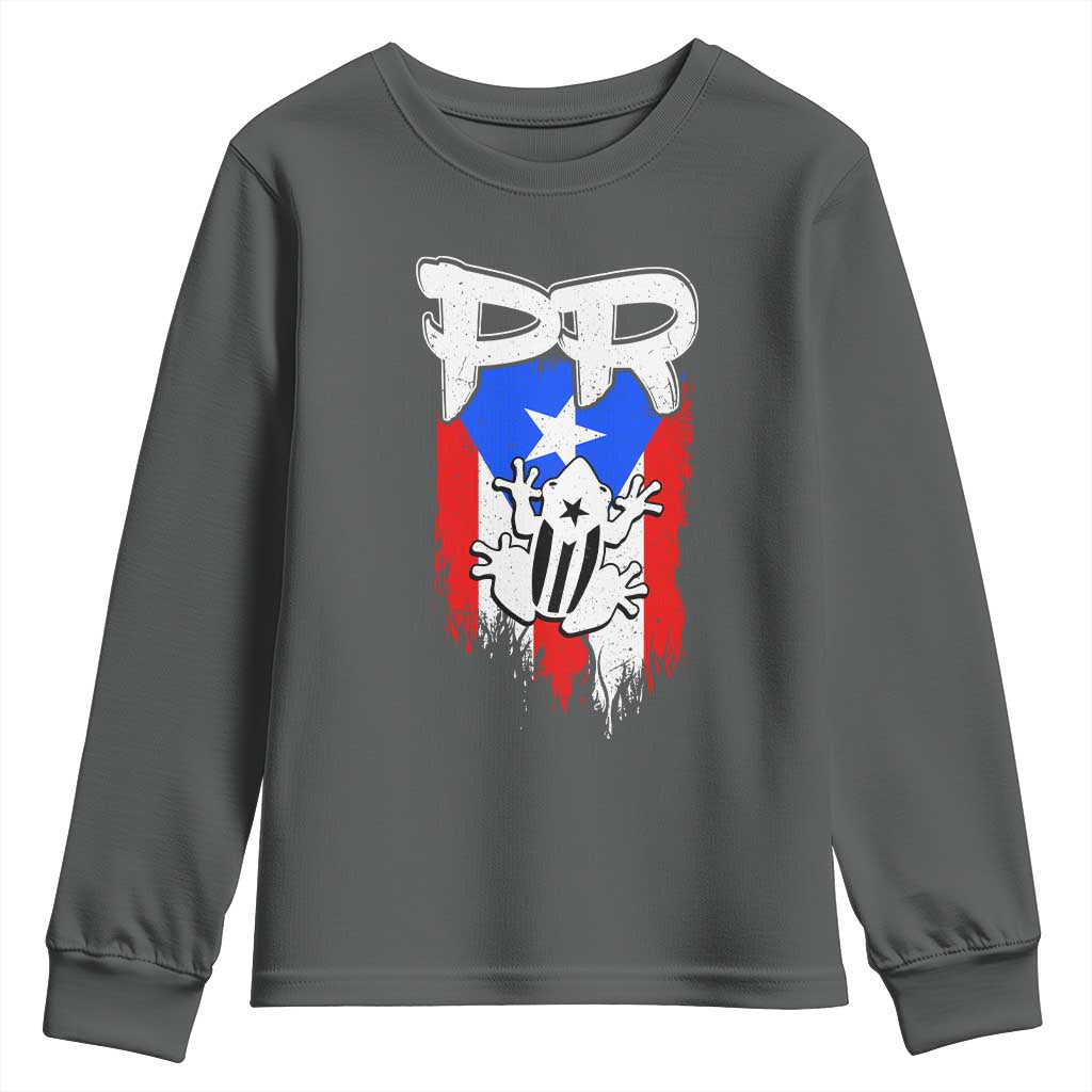 Puerto Rico Flag Hispanic Heritage Month Boricua Coqui Frog Youth Sweatshirt TS11 Dark Heather Print Your Wear