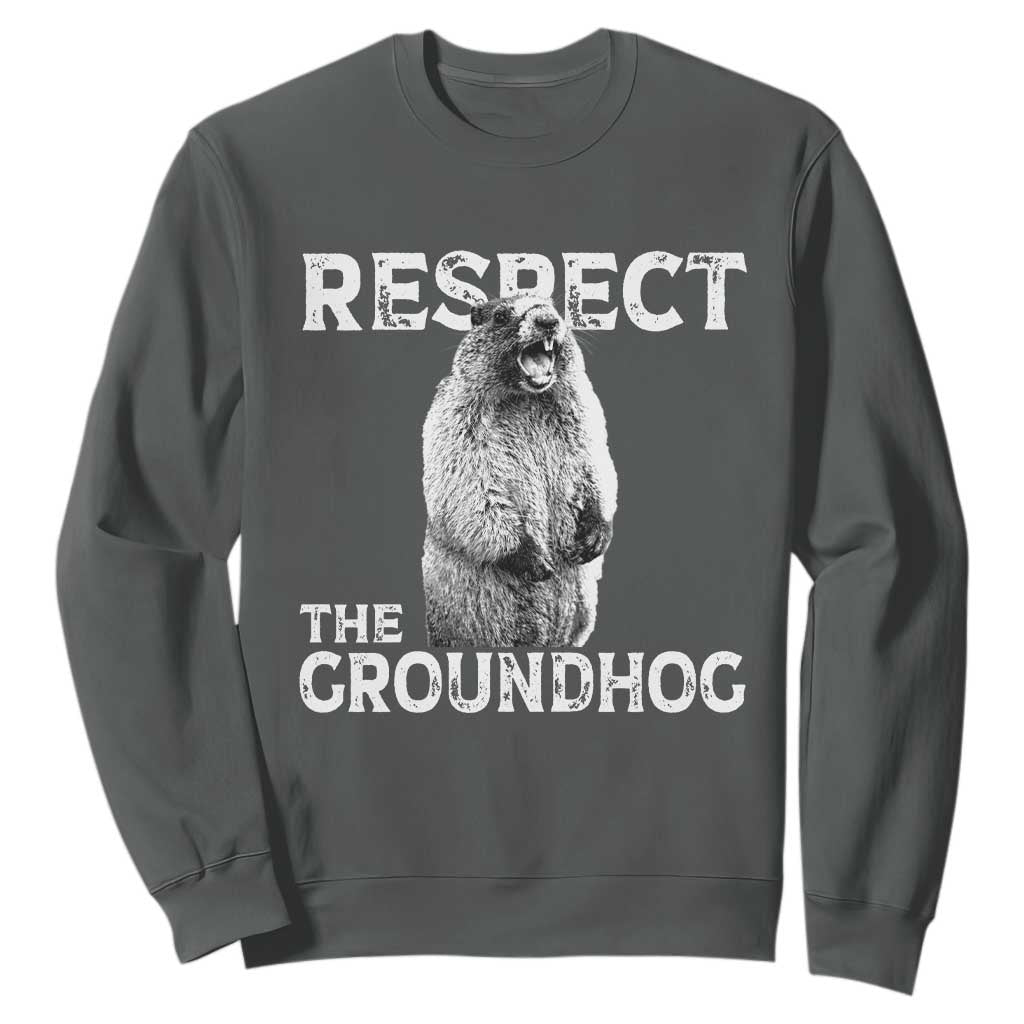 Funny Respect The Groundhog Sweatshirt Screaming Woodchuck Meme Groundhog Day TS11 Dark Heather Print Your Wear