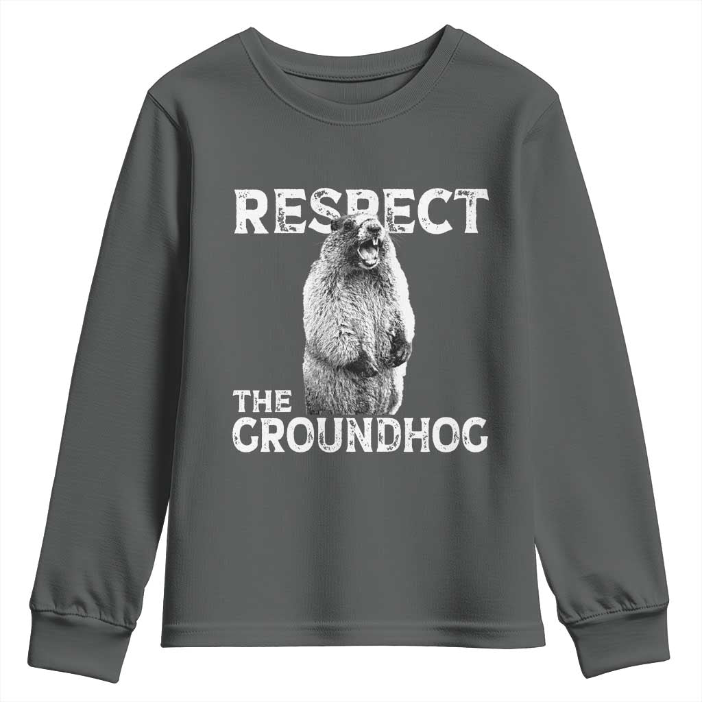 Funny Respect The Groundhog Youth Sweatshirt Screaming Woodchuck Meme Groundhog Day TS11 Dark Heather Print Your Wear