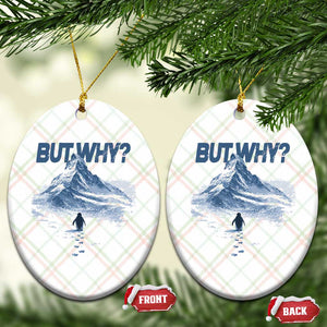 Penguin But Why Ceramic Ornament Funny Penguin Snowy Mountain Meme TS11 Print Your Wear