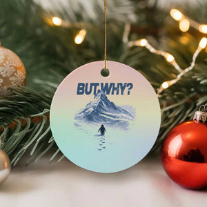 Penguin But Why Ceramic Ornament Funny Penguin Snowy Mountain Meme TS11 1pc Pastel Print Your Wear