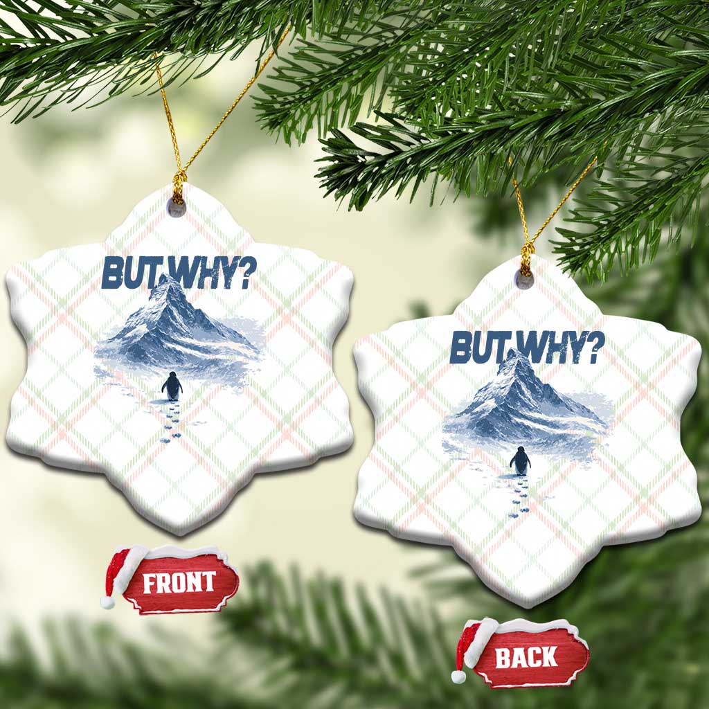 Penguin But Why Ceramic Ornament Funny Penguin Snowy Mountain Meme TS11 Print Your Wear