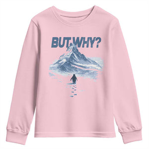 Penguin But Why Youth Sweatshirt Funny Penguin Snowy Mountain Meme TS11 Light Pink Print Your Wear