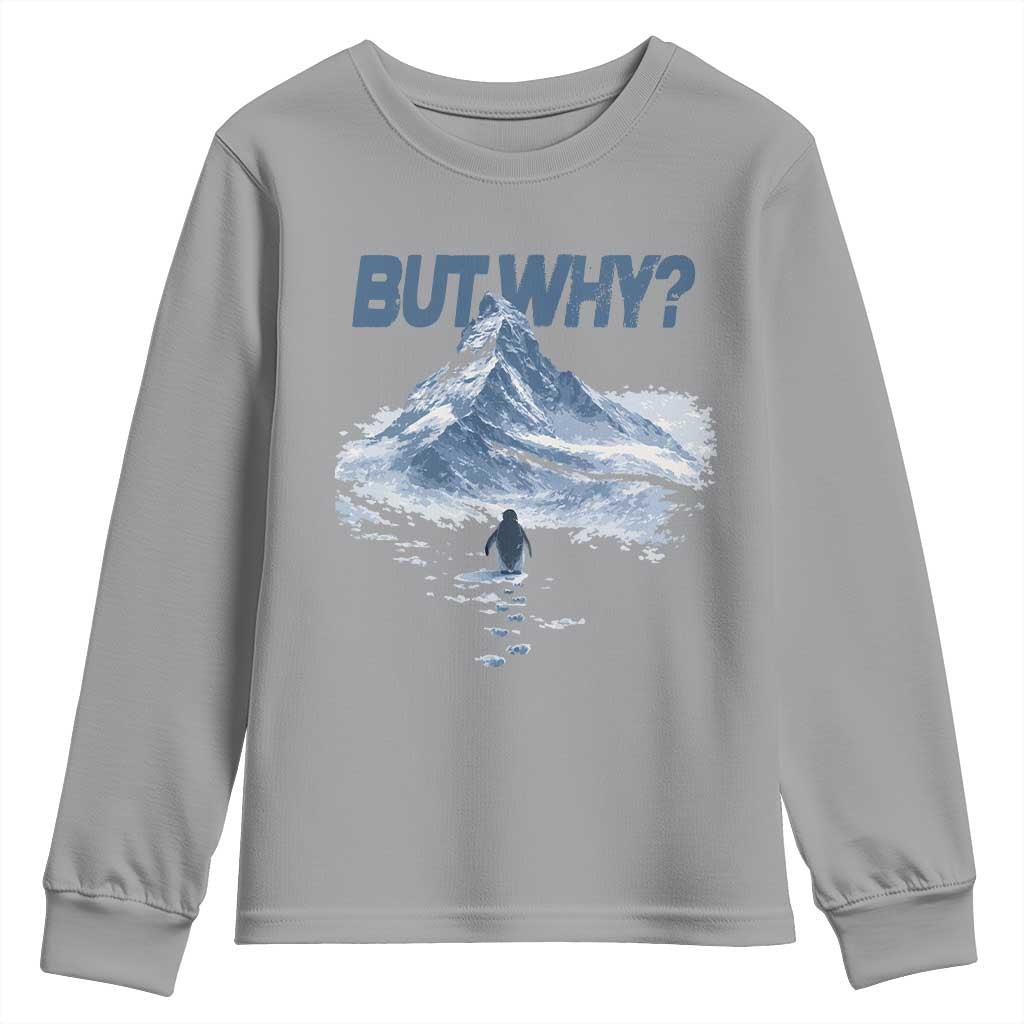 Penguin But Why Youth Sweatshirt Funny Penguin Snowy Mountain Meme TS11 Sport Gray Print Your Wear