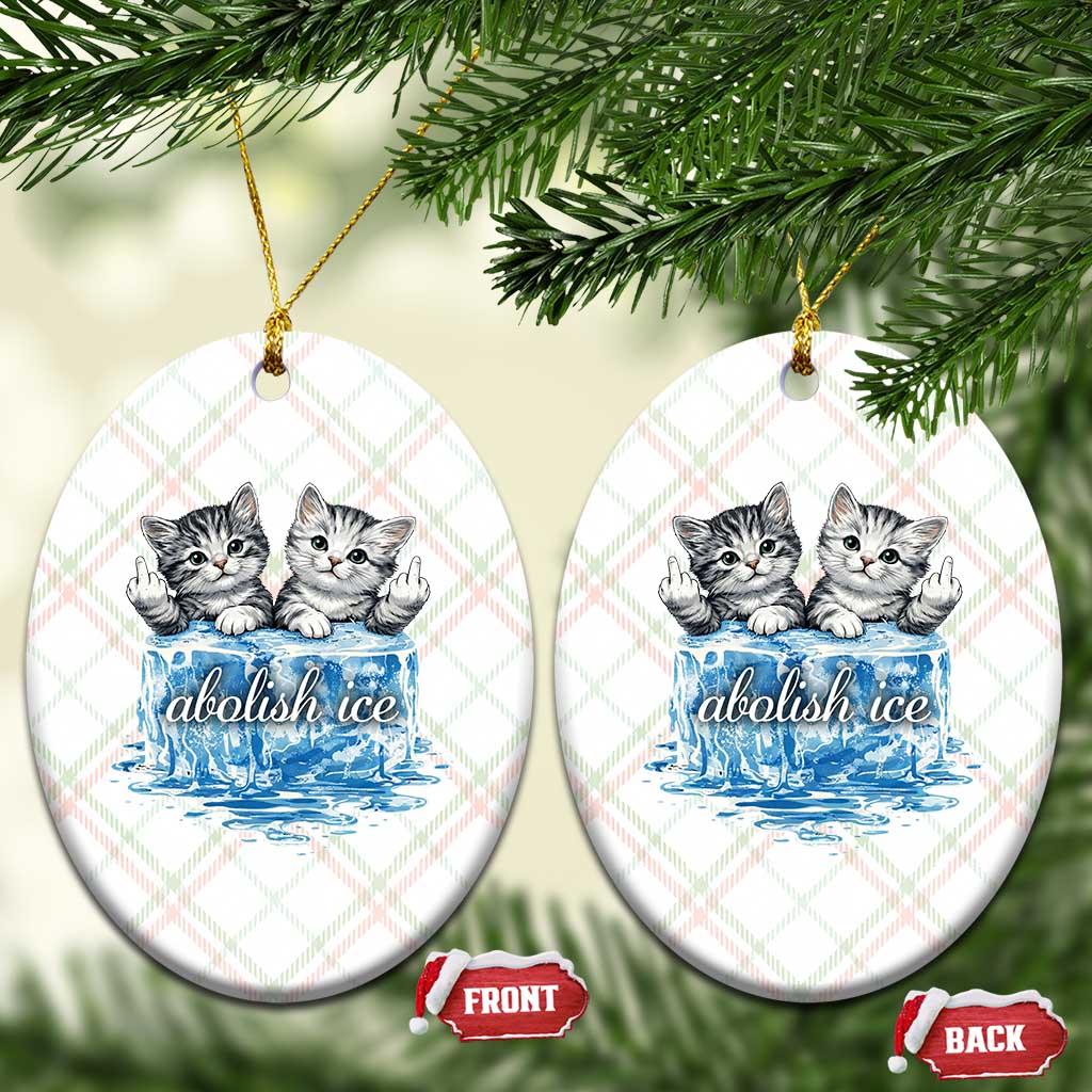 Abolish Ice Ceramic Ornament Cute Cat Melting Ice Pro Immigrant TS11 Print Your Wear