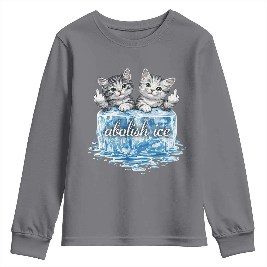 Abolish Ice Youth Sweatshirt Cute Cat Melting Ice Pro Immigrant TS11 Charcoal Print Your Wear