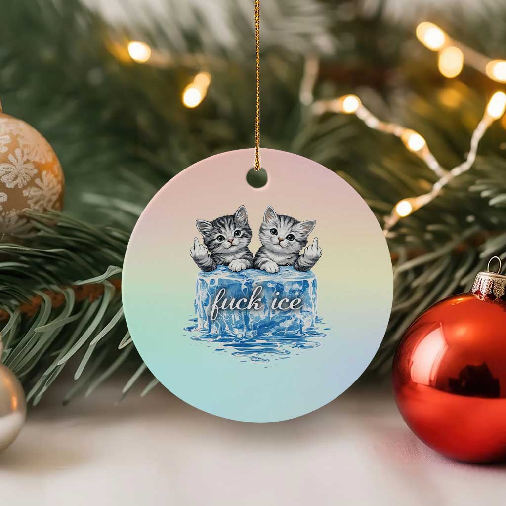 Fck Ice Ceramic Ornament Cute Cat Melting Ice Pro Immigrant TS11 1pc Pastel Print Your Wear