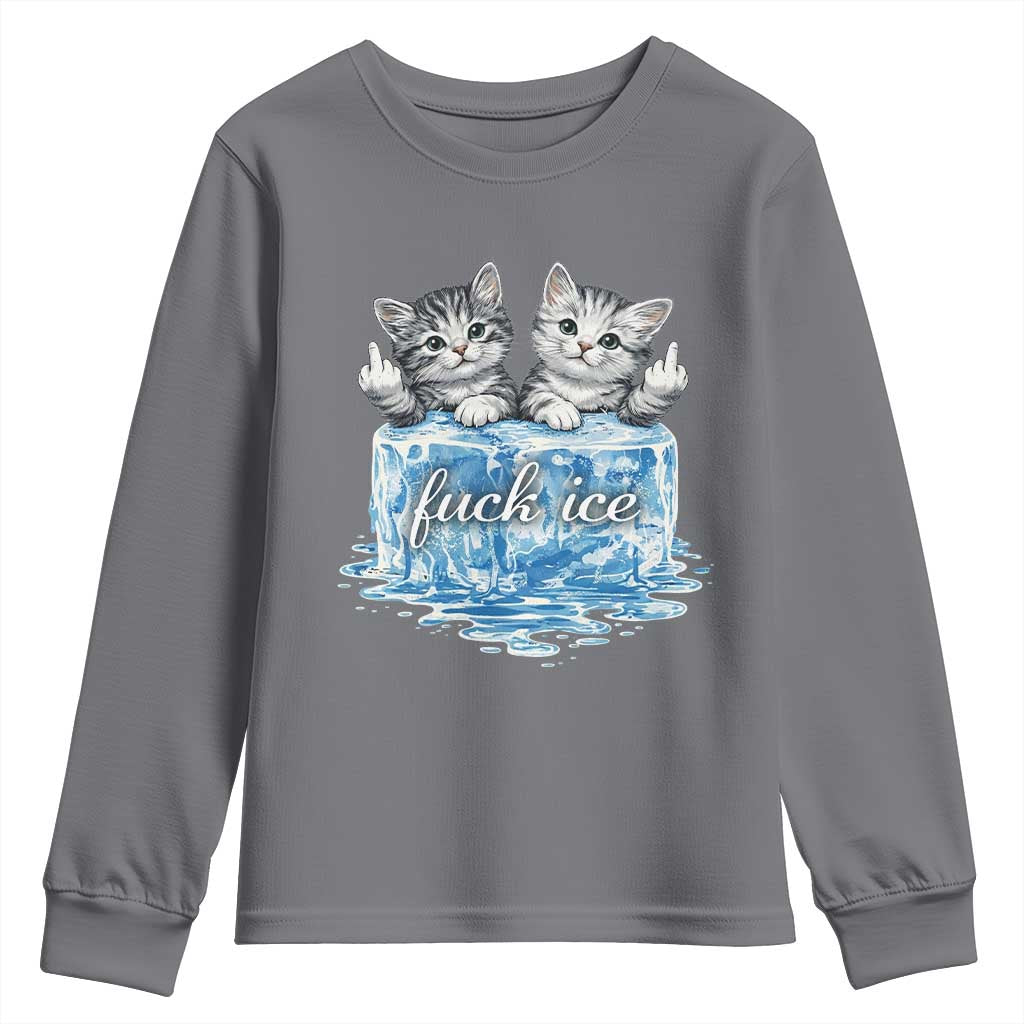 Fck Ice Youth Sweatshirt Cute Cat Melting Ice Pro Immigrant TS11 Charcoal Print Your Wear