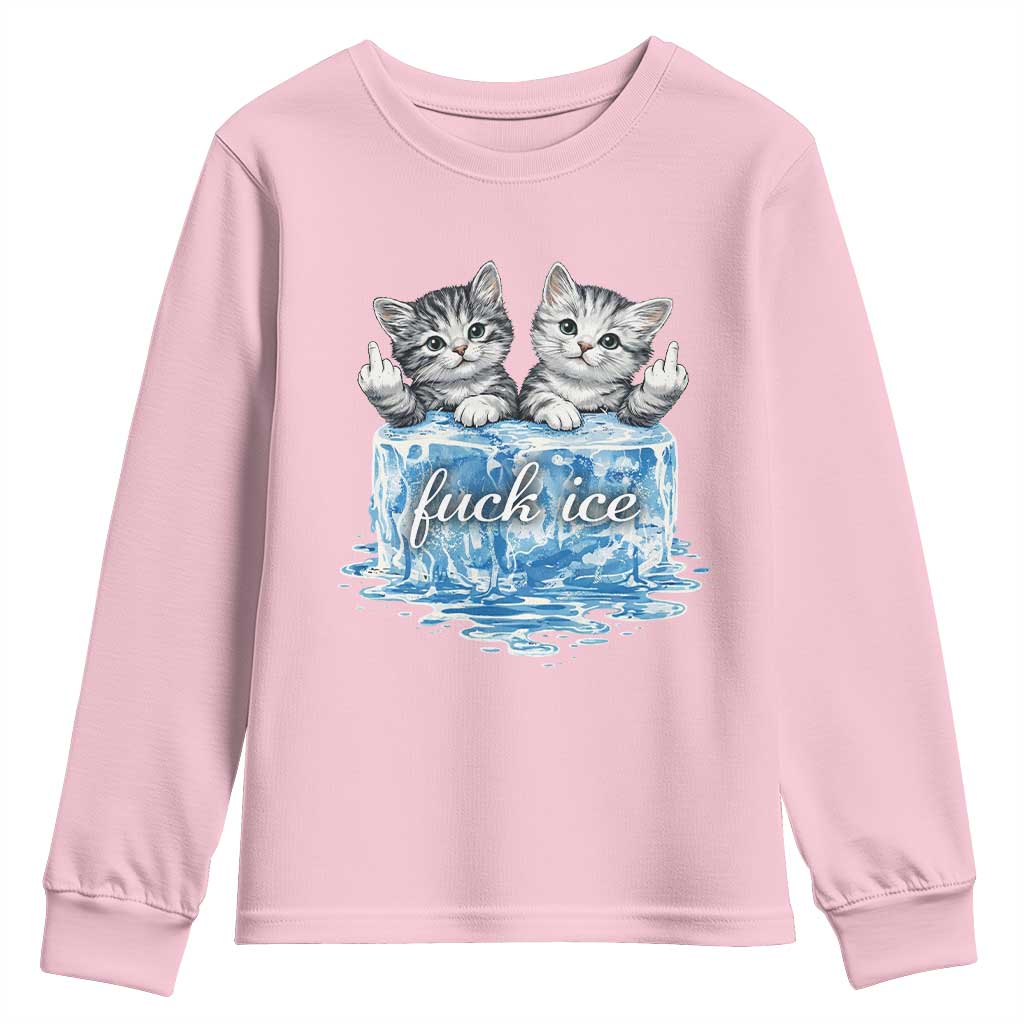 Fck Ice Youth Sweatshirt Cute Cat Melting Ice Pro Immigrant TS11 Light Pink Print Your Wear