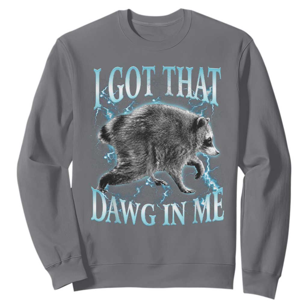 Funny Jimothy The Raccoon Sweatshirt I Got That Dawg In Me Bootleg Art