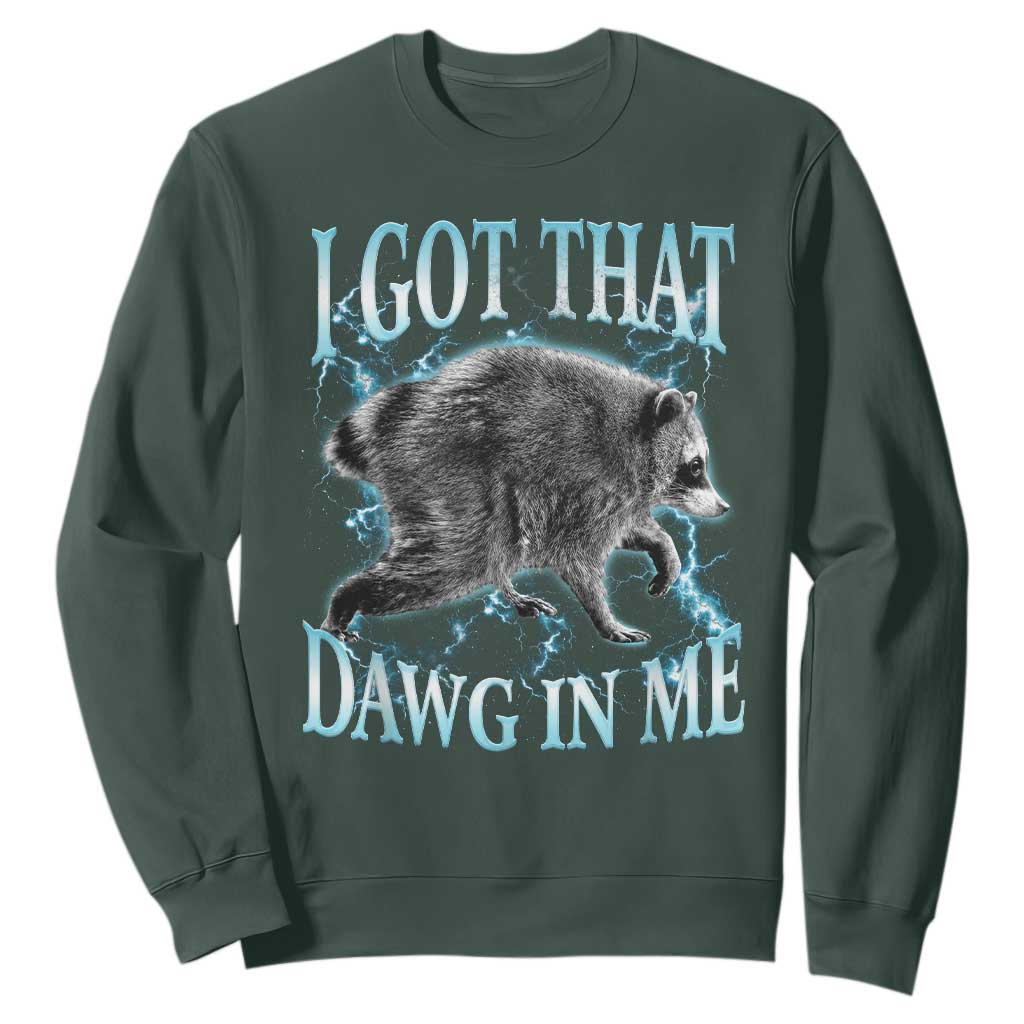 Funny Jimothy The Raccoon Sweatshirt I Got That Dawg In Me Bootleg Art