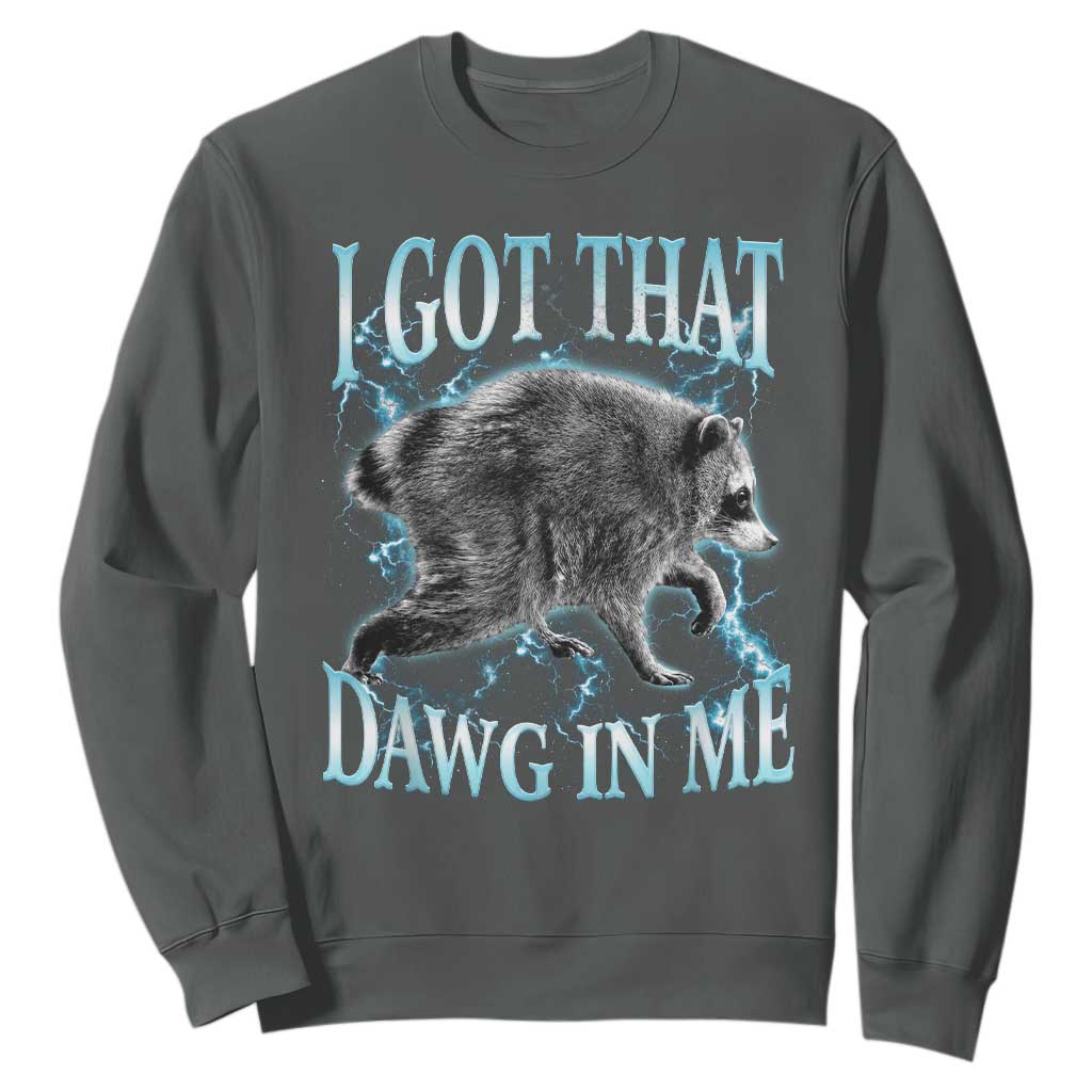Funny Jimothy The Raccoon Sweatshirt I Got That Dawg In Me Bootleg Art