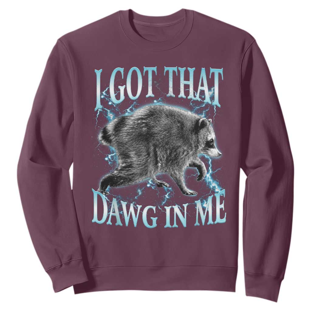 Funny Jimothy The Raccoon Sweatshirt I Got That Dawg In Me Bootleg Art