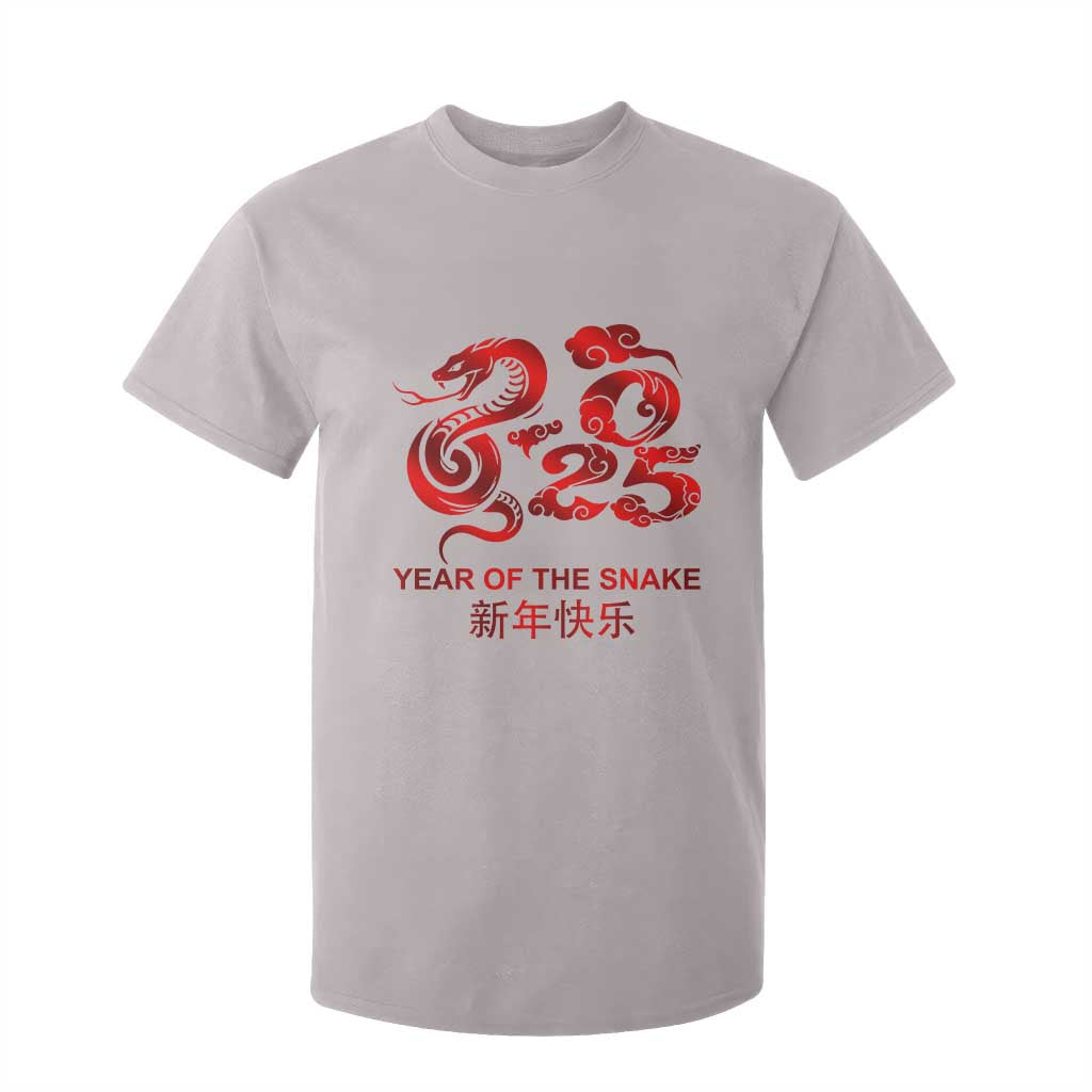Year Of The Snake Lunar Chinese New Year 2025 T Shirt For Kid TS11 Ice Gray Print Your Wear