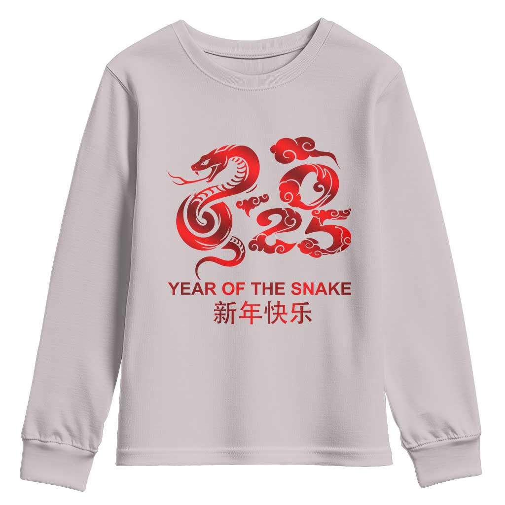 Year Of The Snake Lunar Chinese New Year 2025 Youth Sweatshirt TS11 Ice Gray Print Your Wear