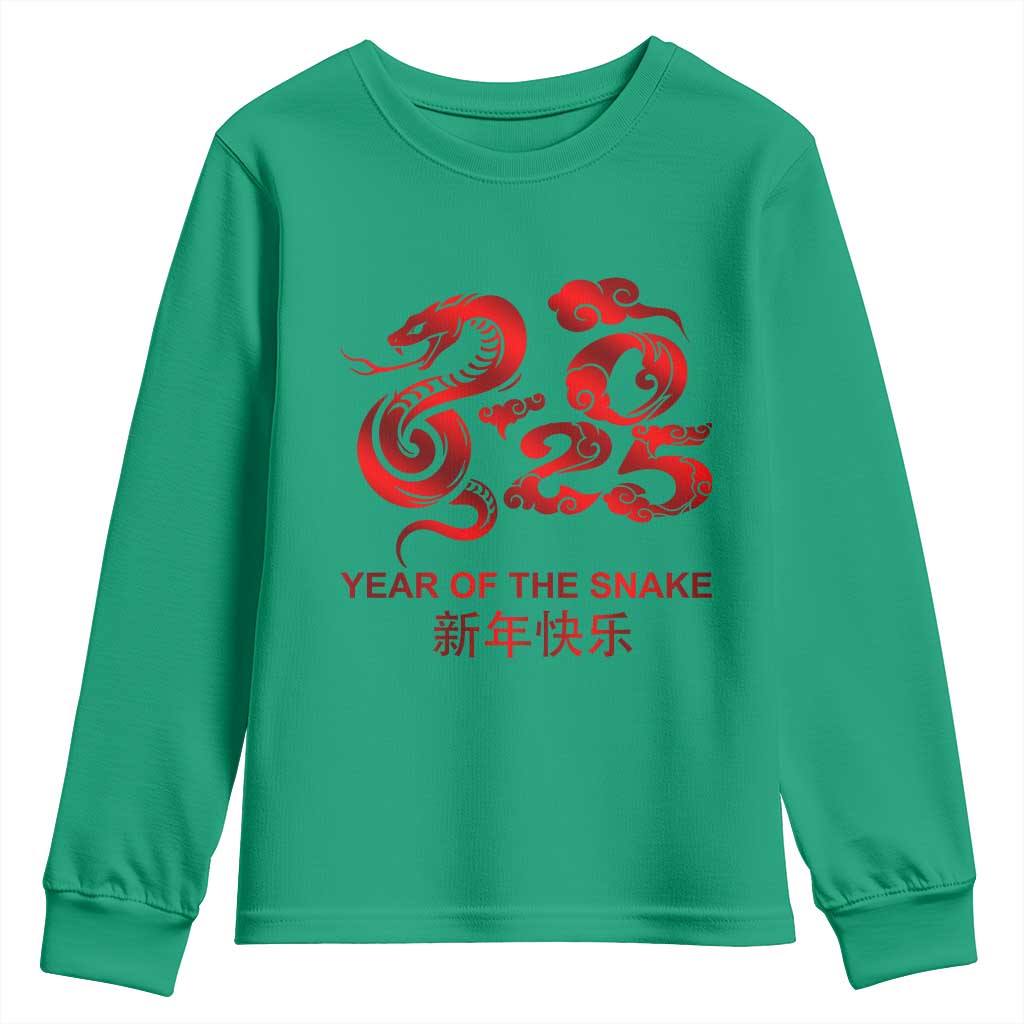 Year Of The Snake Lunar Chinese New Year 2025 Youth Sweatshirt TS11 Irish Green Print Your Wear
