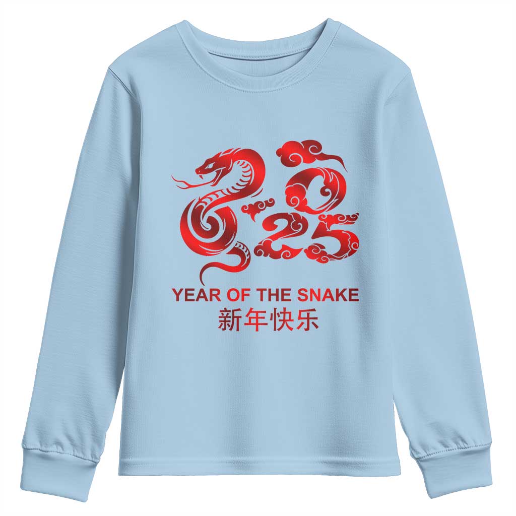 Year Of The Snake Lunar Chinese New Year 2025 Youth Sweatshirt TS11 Light Blue Print Your Wear