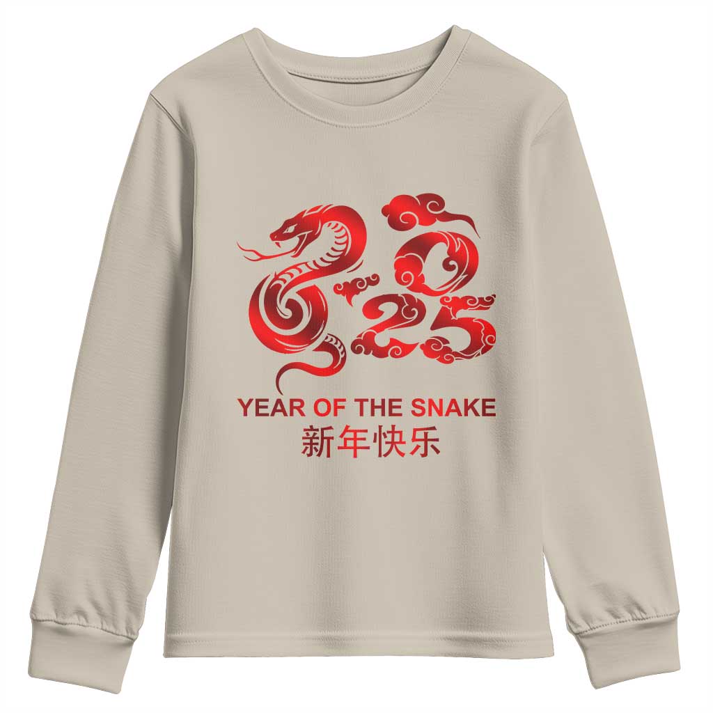 Year Of The Snake Lunar Chinese New Year 2025 Youth Sweatshirt TS11 Sand Print Your Wear