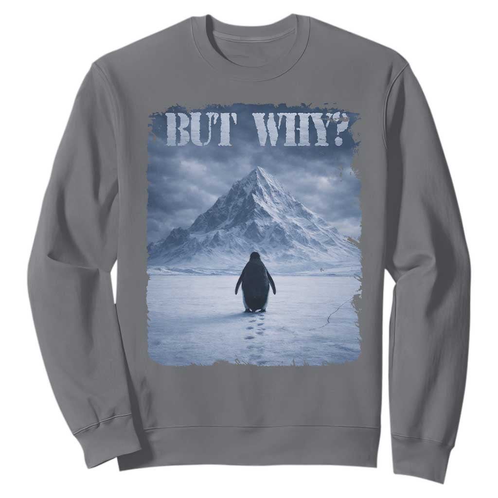 Nihilist Penguin But Why Sweatshirt Snow Mountains Motivational Penguin Meme TS11 Charcoal Print Your Wear