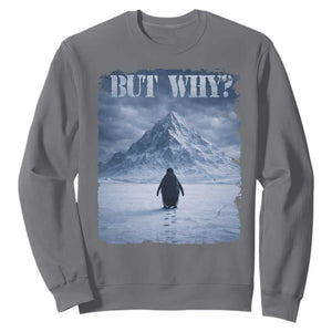 Nihilist Penguin But Why Sweatshirt Snow Mountains Motivational Penguin Meme TS11 Charcoal Print Your Wear