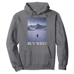 Nihilist Penguin But Why Hoodie Lone Penguin Walking Toward Mountain Meme TS11 Charcoal Print Your Wear