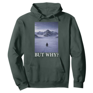 Nihilist Penguin But Why Hoodie Lone Penguin Walking Toward Mountain Meme TS11 Dark Forest Green Print Your Wear