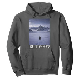 Nihilist Penguin But Why Hoodie Lone Penguin Walking Toward Mountain Meme TS11 Dark Heather Print Your Wear