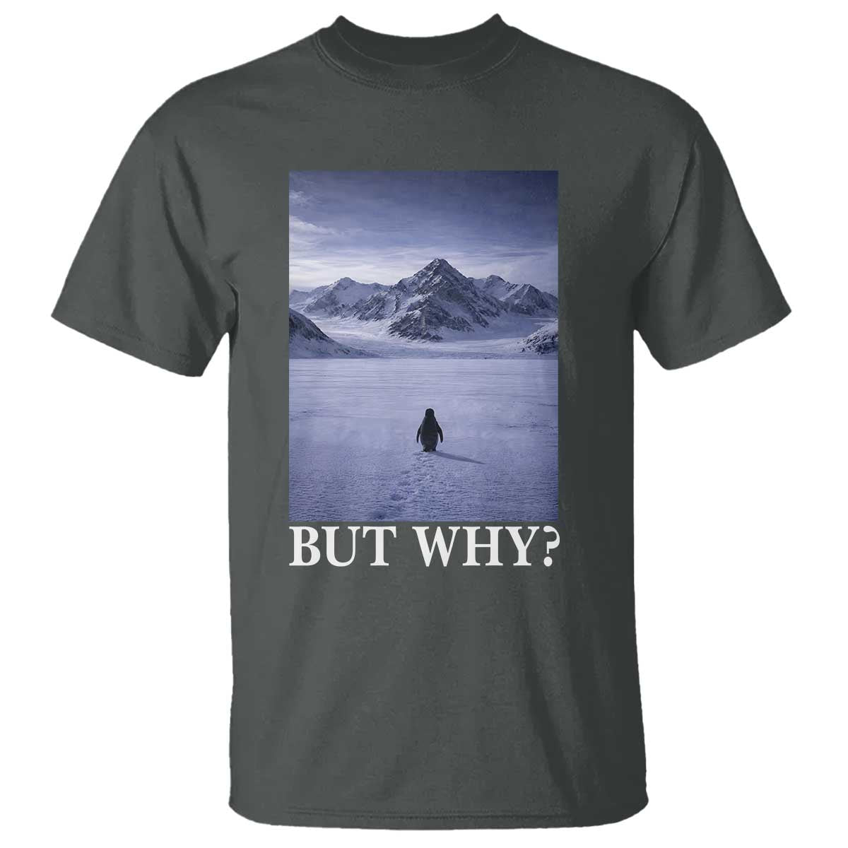 Nihilist Penguin But Why T Shirt Lone Penguin Walking Toward Mountain Meme TS11 Dark Heather Print Your Wear