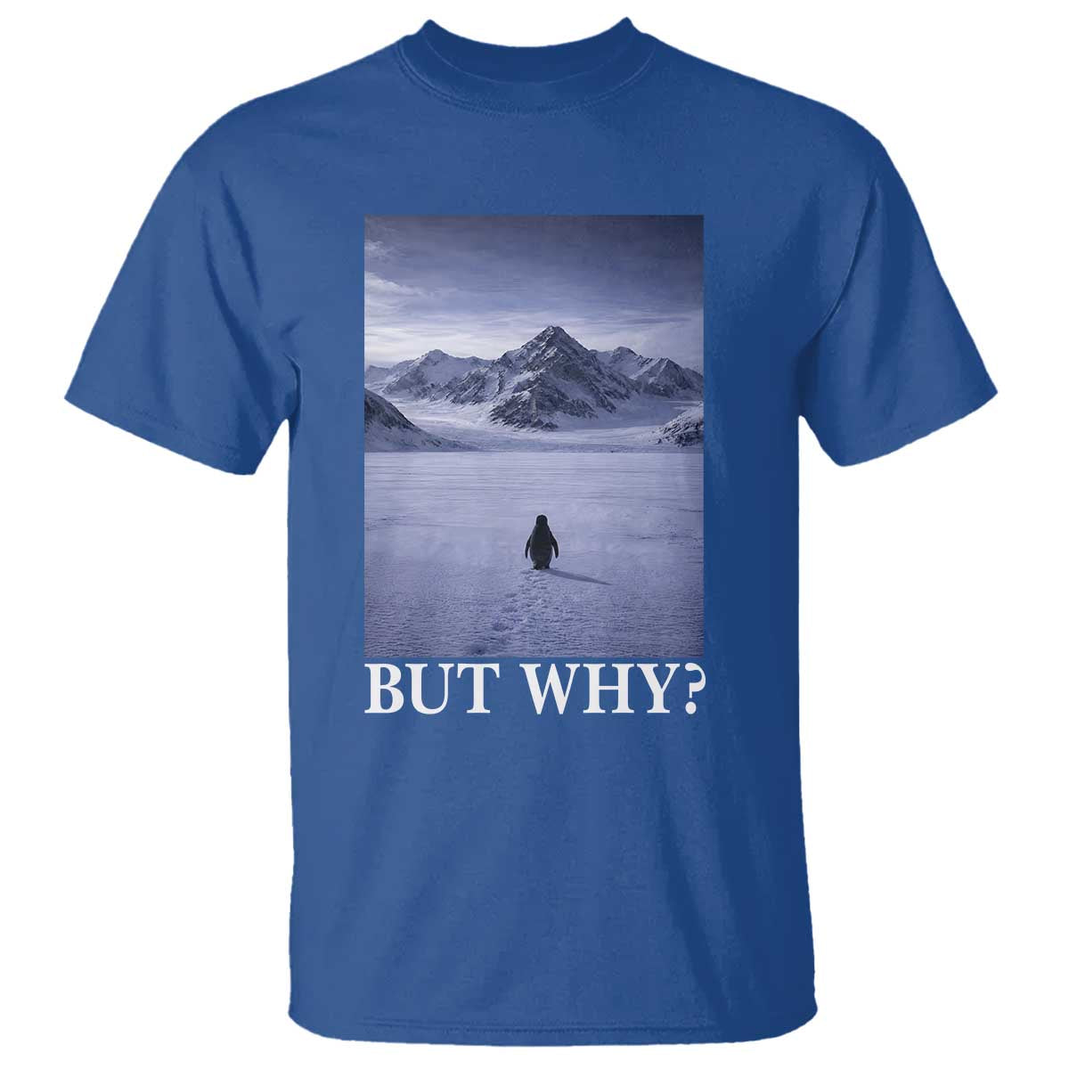 Nihilist Penguin But Why T Shirt Lone Penguin Walking Toward Mountain Meme TS11 Royal Blue Print Your Wear