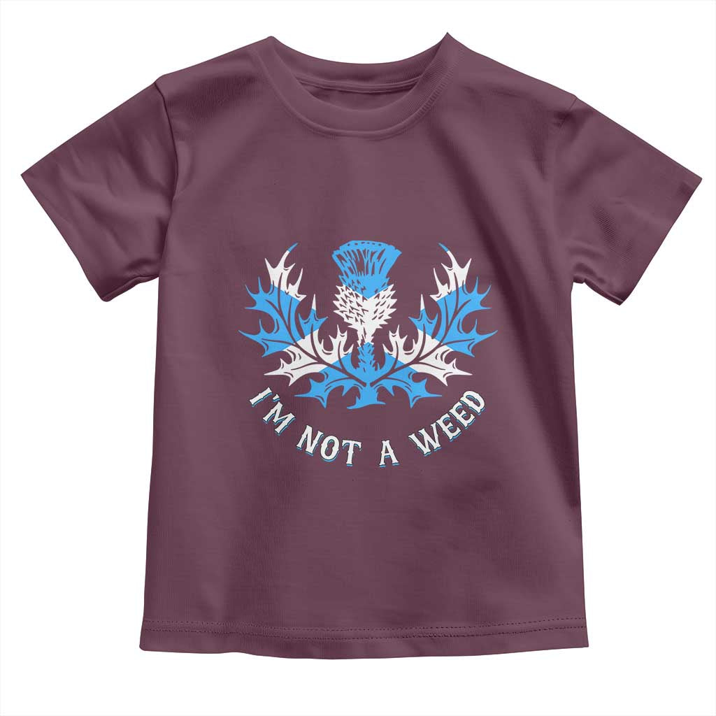 Funny Scottish Thistle I Am Not A Weed Toddler T Shirt Scotland Flag TS11 Maroon Print Your Wear