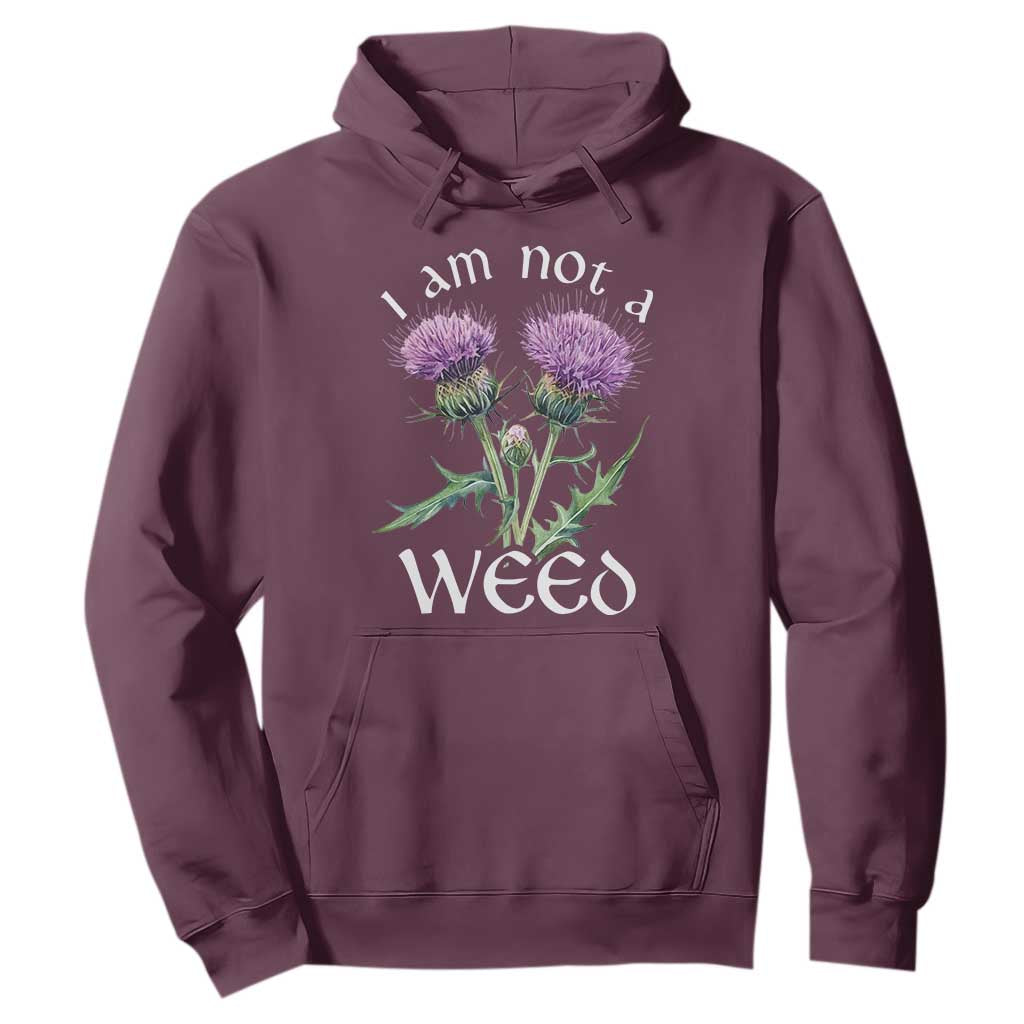 Funny Scottish Thistle I Am Not A Weed Hoodie TS11 Maroon Print Your Wear