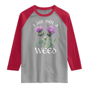 Funny Scottish Thistle I Am Not A Weed Raglan Shirt TS11 Sport Gray Red Print Your Wear