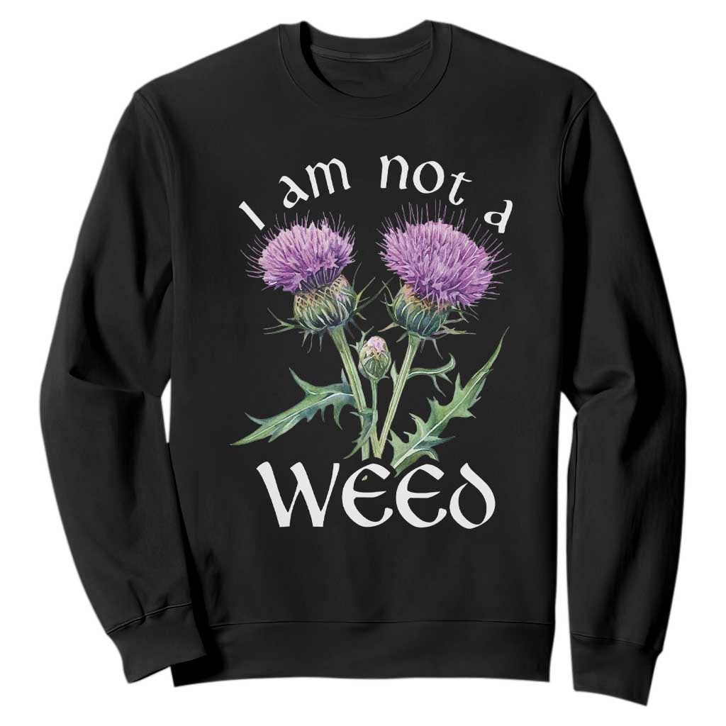 Funny Scottish Thistle I Am Not A Weed Sweatshirt TS11 Black Print Your Wear