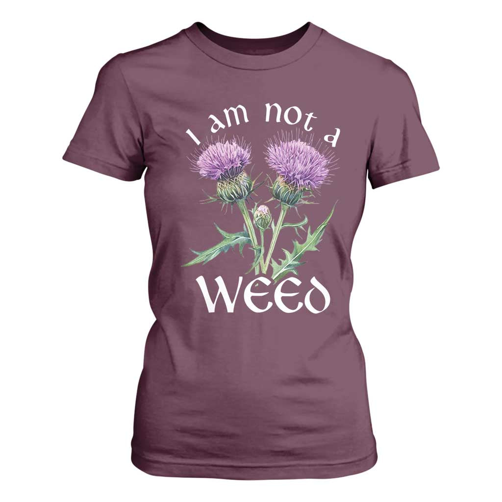 Funny Scottish Thistle I Am Not A Weed T Shirt For Women TS11 Maroon Print Your Wear
