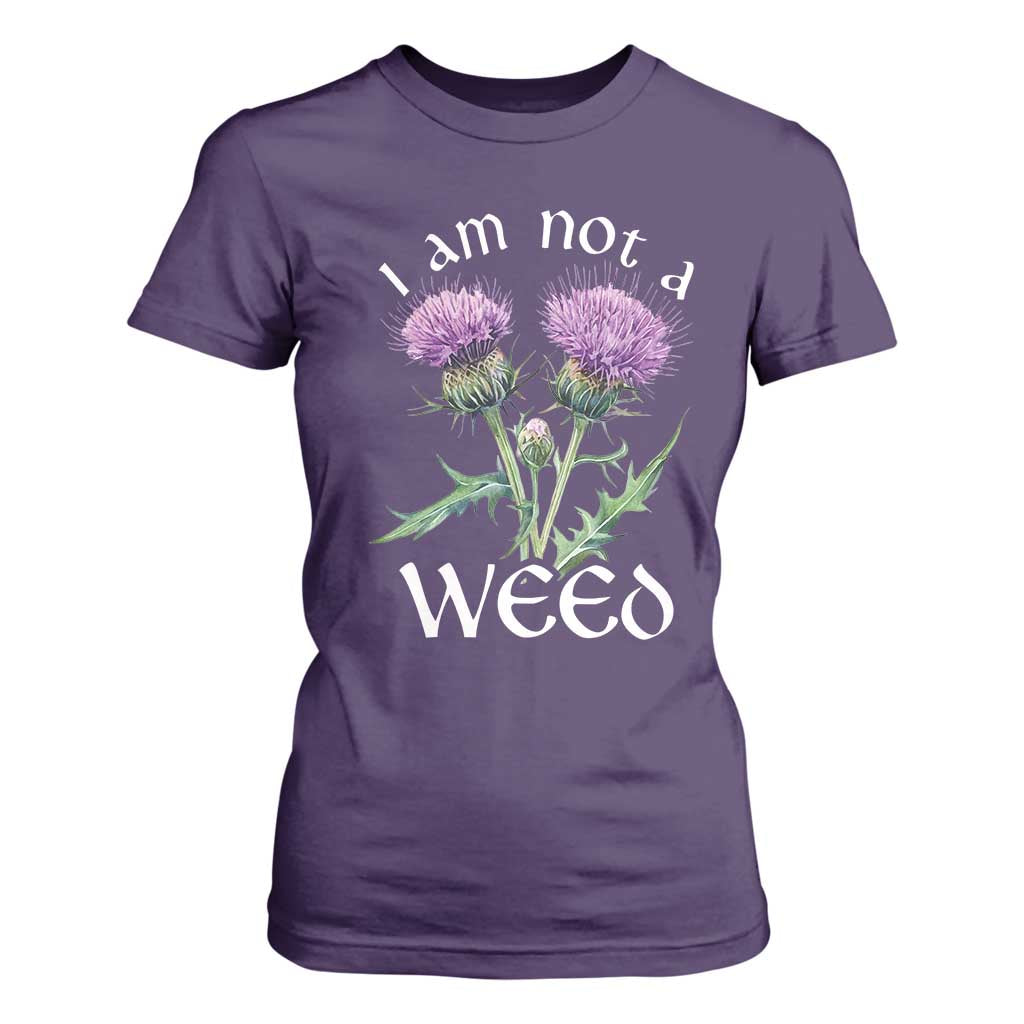 Funny Scottish Thistle I Am Not A Weed T Shirt For Women TS11 Purple Print Your Wear