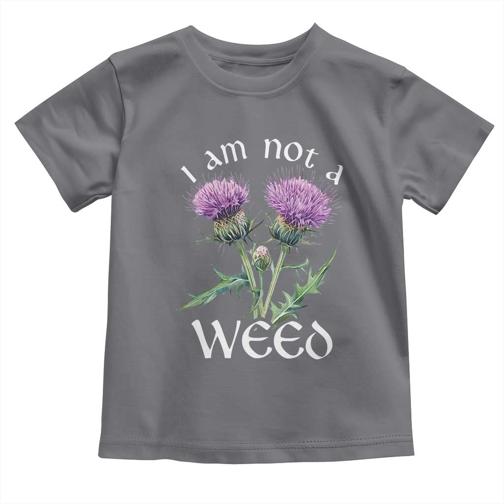 Funny Scottish Thistle I Am Not A Weed Toddler T Shirt TS11 Charcoal Print Your Wear