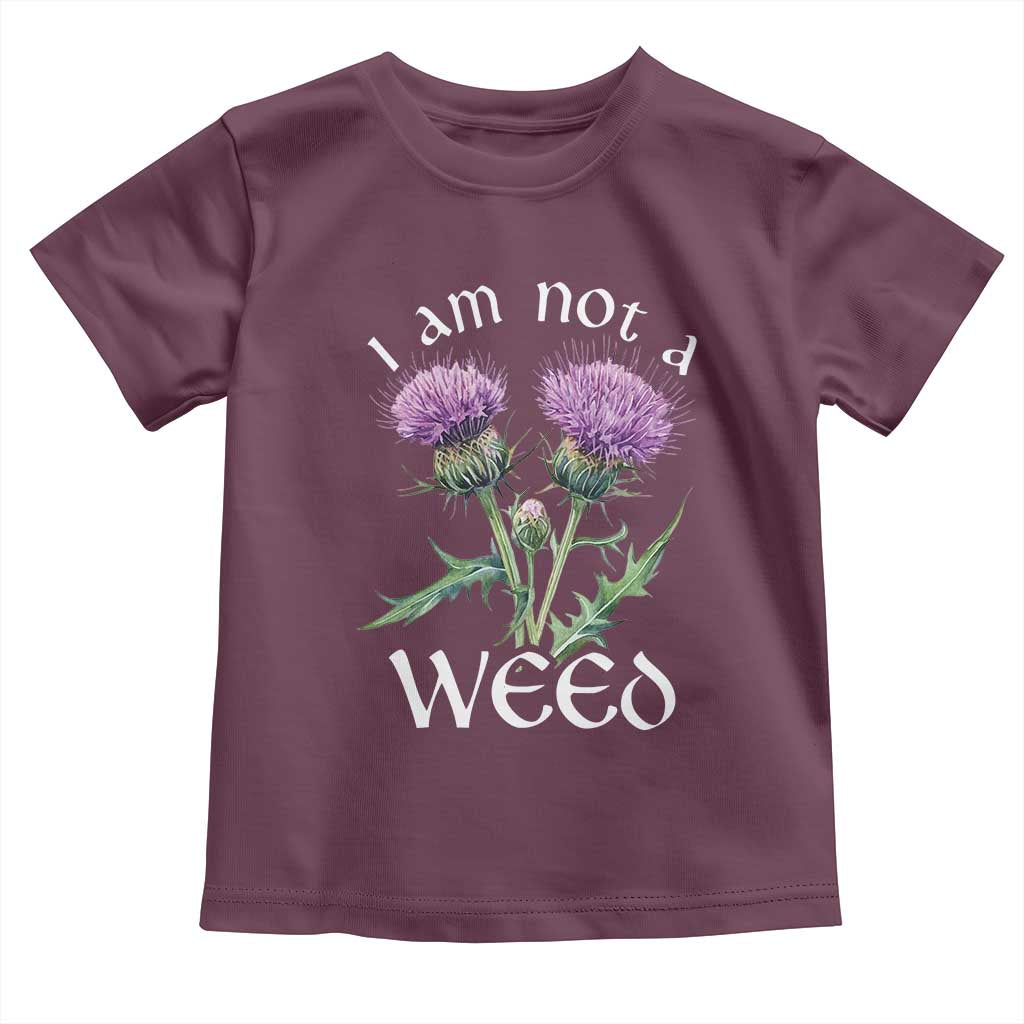 Funny Scottish Thistle I Am Not A Weed Toddler T Shirt TS11 Maroon Print Your Wear