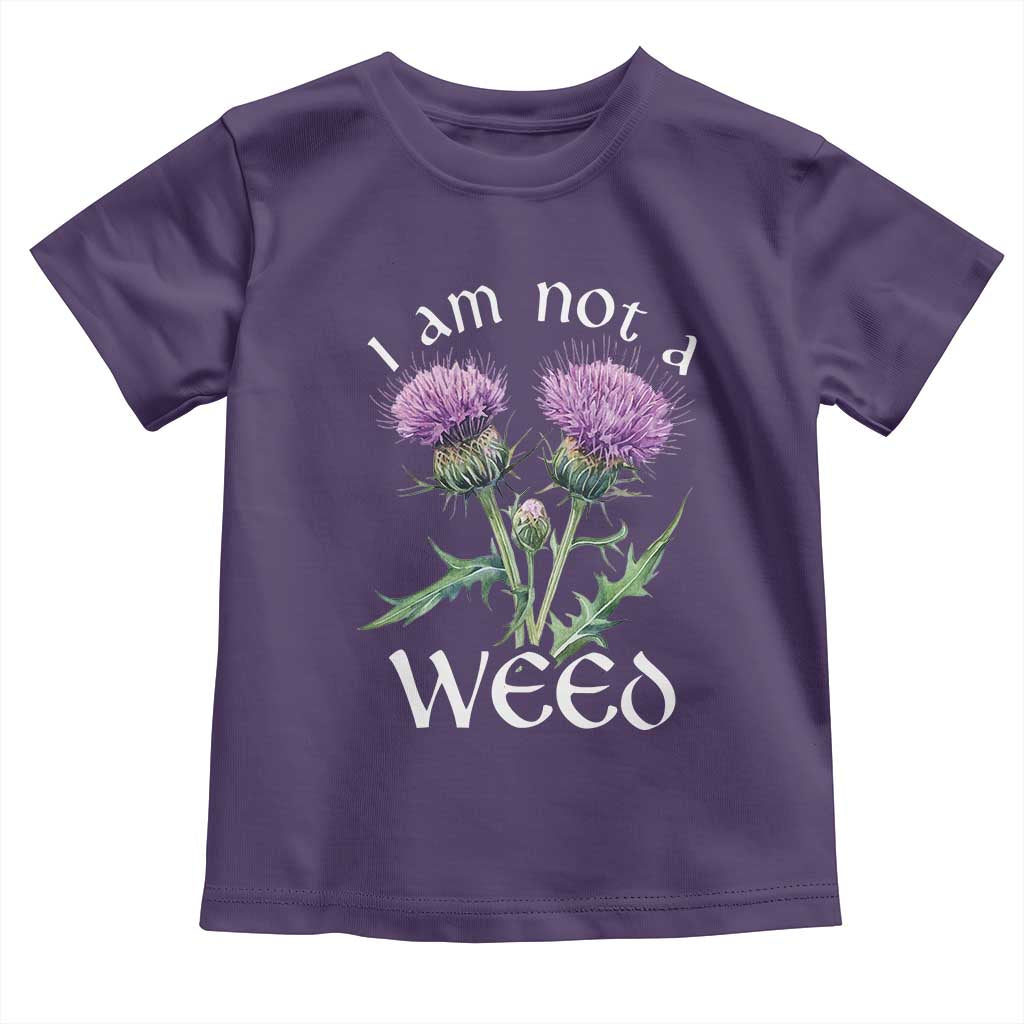 Funny Scottish Thistle I Am Not A Weed Toddler T Shirt TS11 Purple Print Your Wear