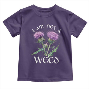 Funny Scottish Thistle I Am Not A Weed Toddler T Shirt TS11 Purple Print Your Wear