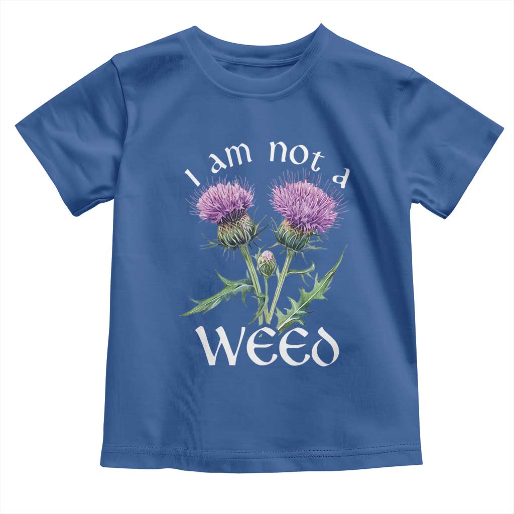 Funny Scottish Thistle I Am Not A Weed Toddler T Shirt TS11 Royal Blue Print Your Wear