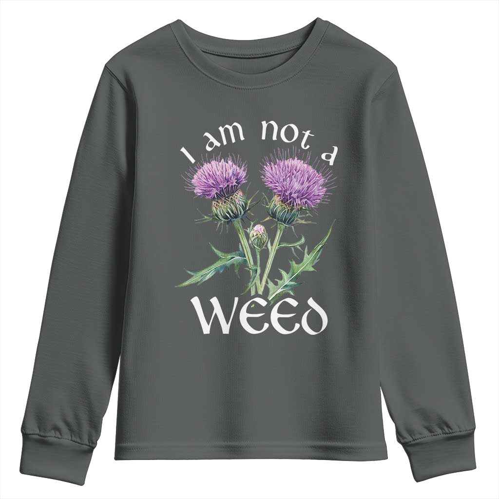 Funny Scottish Thistle I Am Not A Weed Youth Sweatshirt TS11 Dark Heather Print Your Wear
