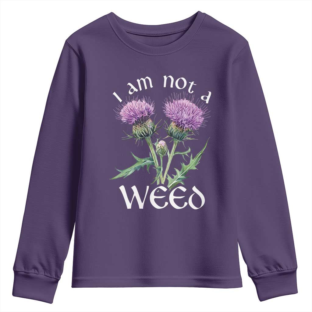 Funny Scottish Thistle I Am Not A Weed Youth Sweatshirt TS11 Purple Print Your Wear