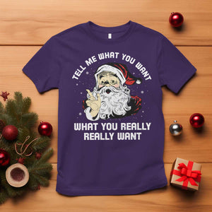 Funny Christmas Santa T Shirt Tell Me What You Want What You Really Really Want TS11 Purple Print Your Wear