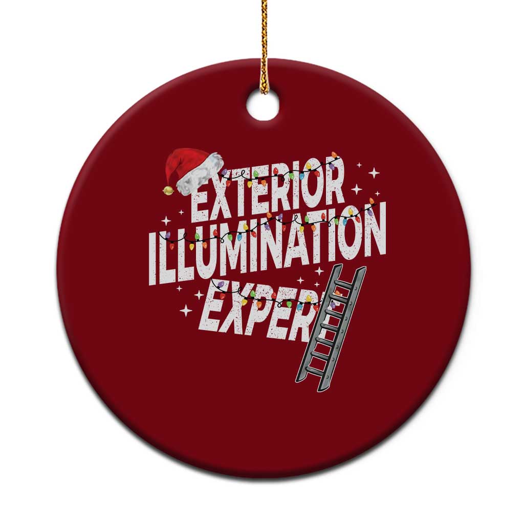 Funny Christmas Exterior Illumination Expert Ceramic Ornament Xmas Lights Decorator TS11 1pc Red Print Your Wear