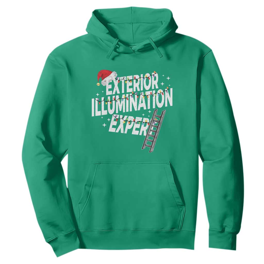Funny Christmas Exterior Illumination Expert Hoodie Xmas Lights Decorator TS11 Irish Green Print Your Wear