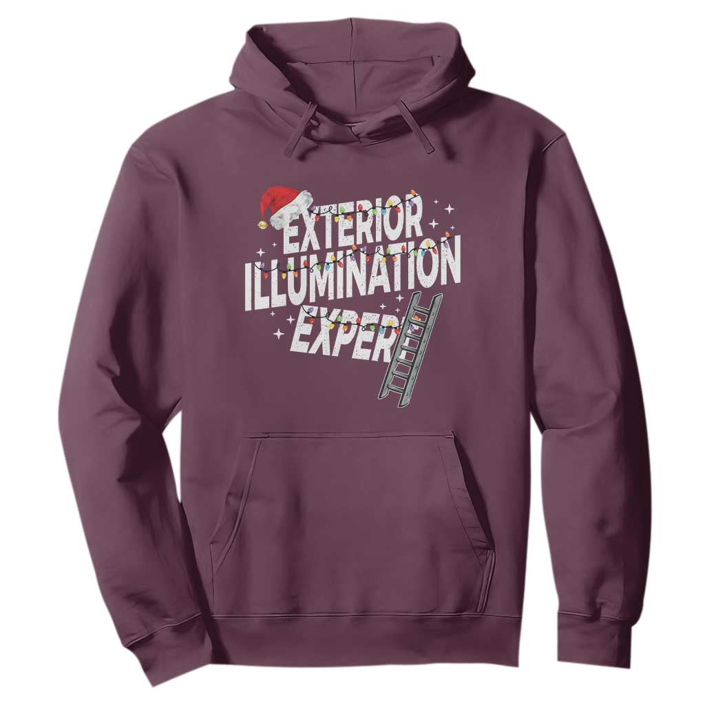 Funny Christmas Exterior Illumination Expert Hoodie Xmas Lights Decorator TS11 Maroon Print Your Wear