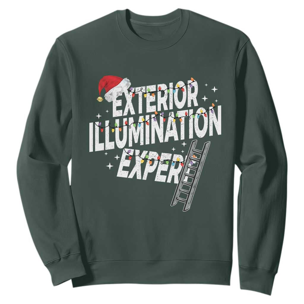 Funny Christmas Exterior Illumination Expert Sweatshirt Xmas Lights Decorator TS11 Dark Forest Green Print Your Wear