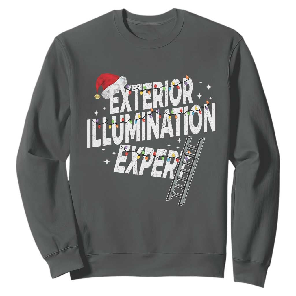 Funny Christmas Exterior Illumination Expert Sweatshirt Xmas Lights Decorator TS11 Dark Heather Print Your Wear